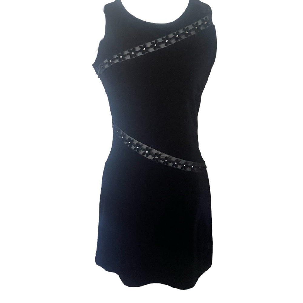Vintage Velvet Dress